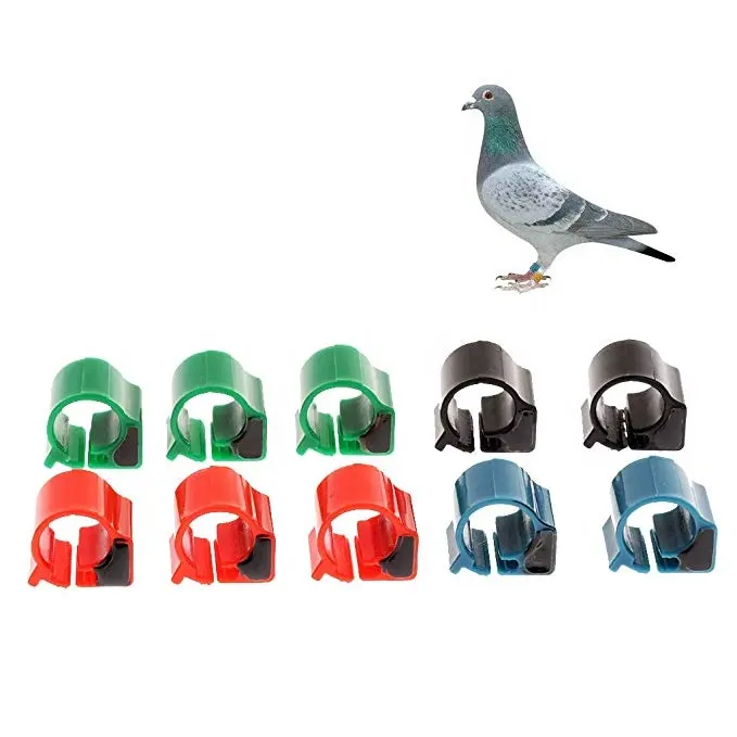 RFID 125KHz Racing Pigeon information recognition homing pigeon leg ring